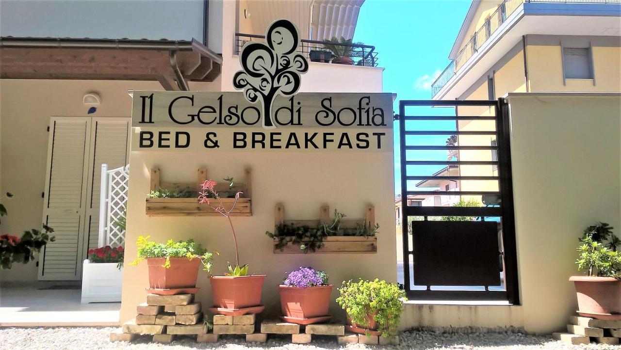 Il Gelso Di Sofia B&B Торторето Экстерьер фото